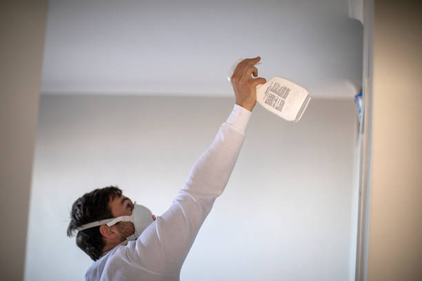 Best Industrial Mold Remediation in Gman, IL