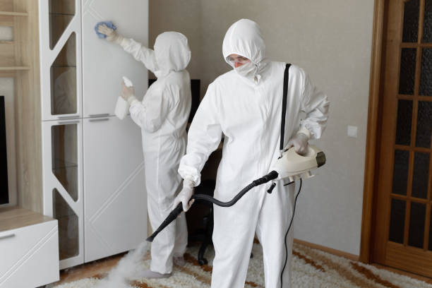 Best Attic Mold Remediation in Gman, IL