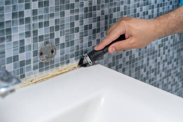 Best Basement Mold Remediation in Gman, IL