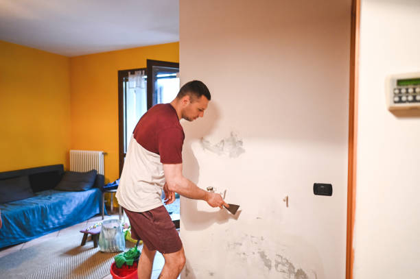 Professional Mold Remediation in Gilman, IL